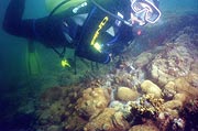 Abrolhos