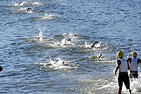 Triatlo - modalidade: nata??o. 
Site www.rio.triathlon.com.br 