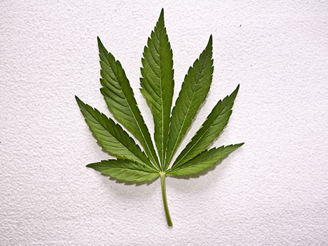 Foto: freeimages.com