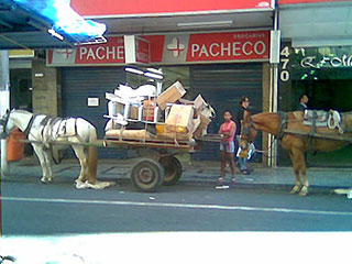 Foto: Secom UFJF Carroceiros