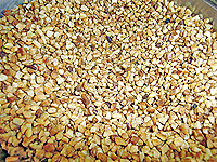 Foto castanhas mo?das