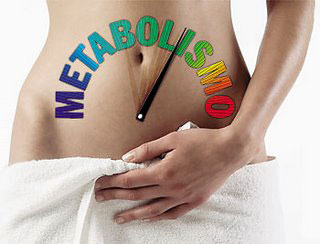 Metabolismo