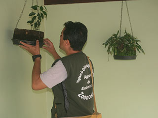 Foto: Fernando Barbosa / PJF Atuação de agente de controle de endemias
