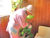 Foto de Dona Ana regando as plantas