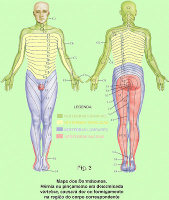 Foto: http://fisioterapeutico.blogspot.com.br/