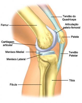 tratamentul articulațiilor piciorului uman