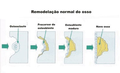 http://www.sobiologia.com.br/conteudos/Histologia/epitelio19.php