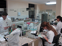 laboratorio