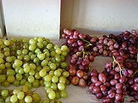 Foto de uvas vinho e verde
