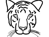 desenho da cabe&ccedil;a do Tigre