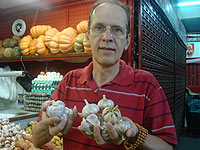 Armando Falconi