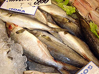 foto de peixe