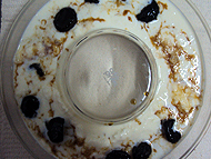 Joana Kamil Manjar pronto