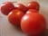 150 gramas de tomate cereja