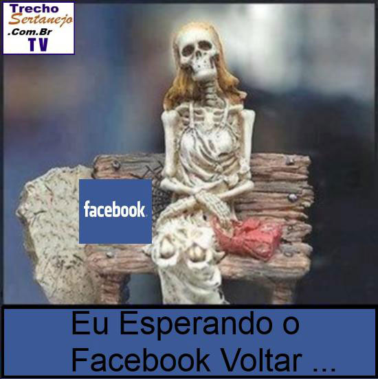 Foto: Reprodução Twitter