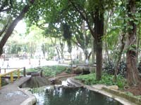 Foto do Parque Halfeld