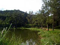 Imagem de lago no Parque da Lajinha