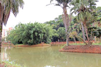 Imagem do lago do Parque