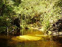 foto do Parque Estadual de Ibitipoca