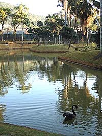 foto do lago do Parque do Mapro