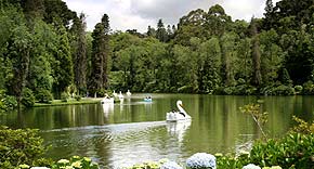 Foto de um parque em Gramado