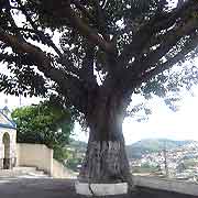Foto Mirante São Bernardo