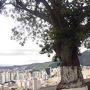 Foto Mirante São Bernardo