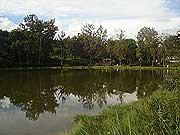 O lago do Parque