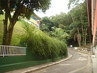 Foto de um caminho com muito verde