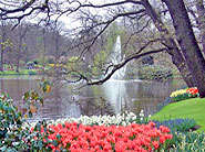 Parque de tulipas