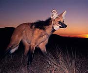 Nascente Rio S?o
Francisco