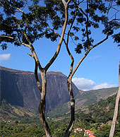 Foto de uma ?rvore pr?xima, umas casas ao longe e montanhas