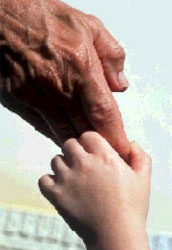 Foto:
http://www.crb10.org.br/profissional-ico.gif