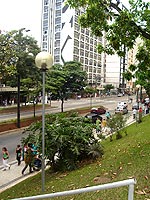 Foto da avenida Rio Branco, 
mostrando um pouco de verde e um pouco da rua